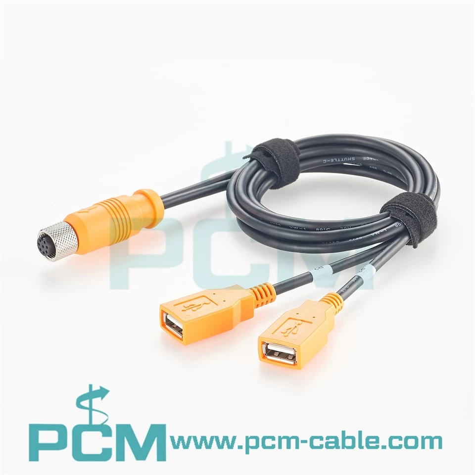 M12 A কোড 8 পিন টু ডুয়াল USB A কেবল
